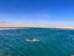 Pack San Pedro de Atacama 5D/4N - Imagen 9