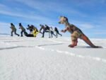 Pack S. de Uyuni + San Pedro de Atacama 6D/5N - Imagen 12